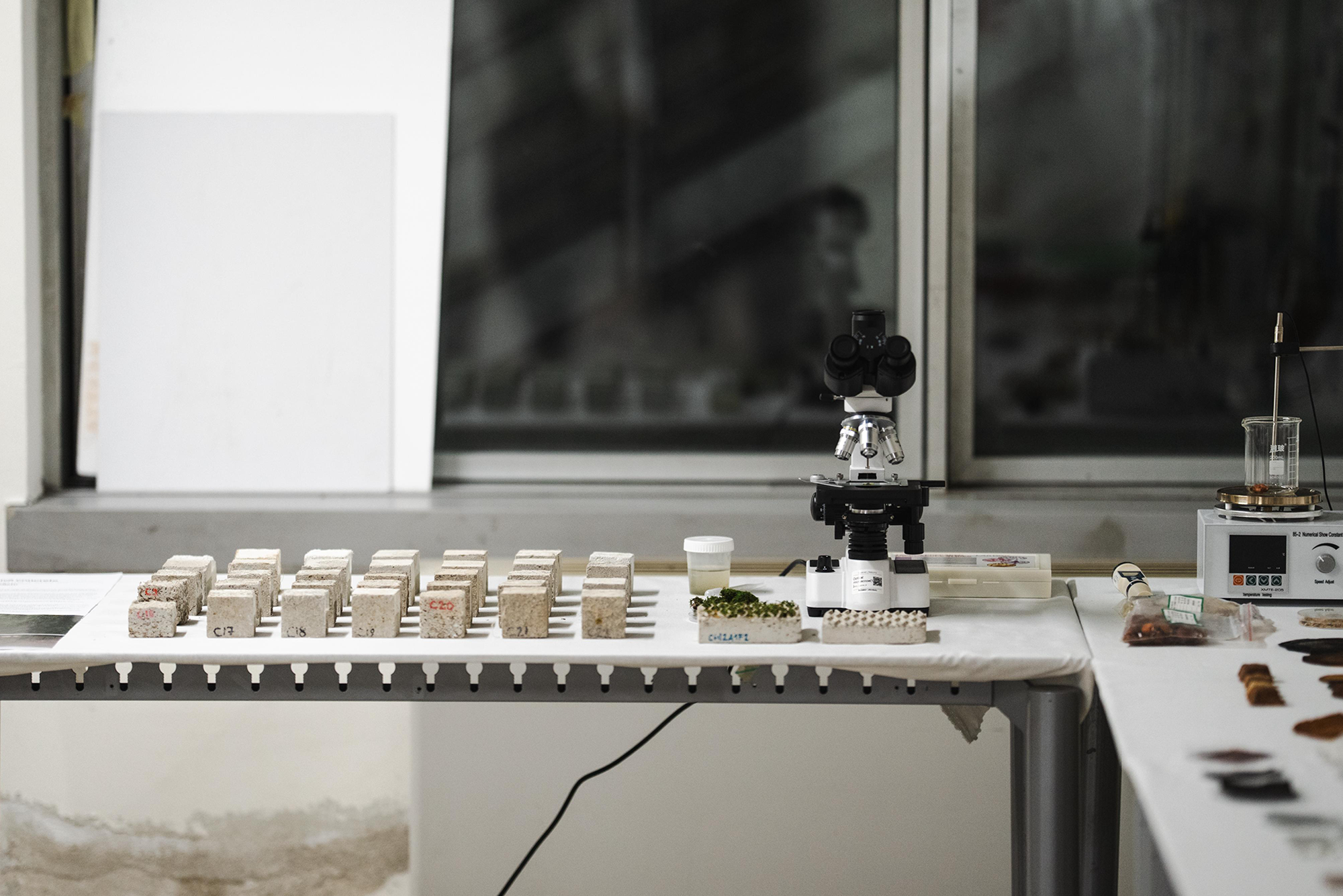 WhatsApp Image 2026-01-28 at 18.24.08