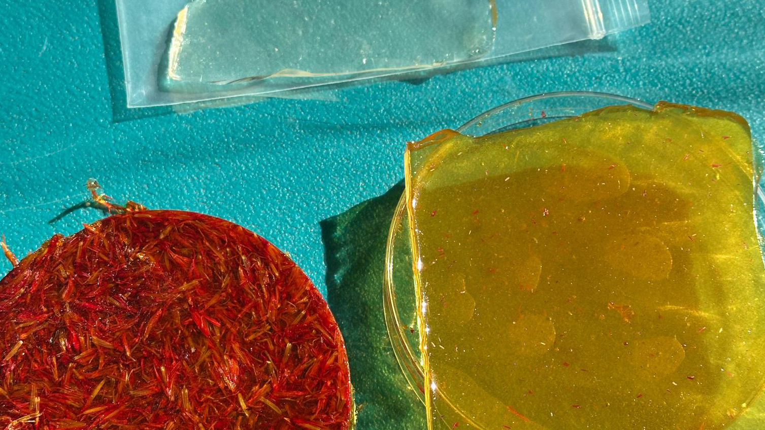 DA0B0DBA-F2FF-4084-9EBB-178F1858076A